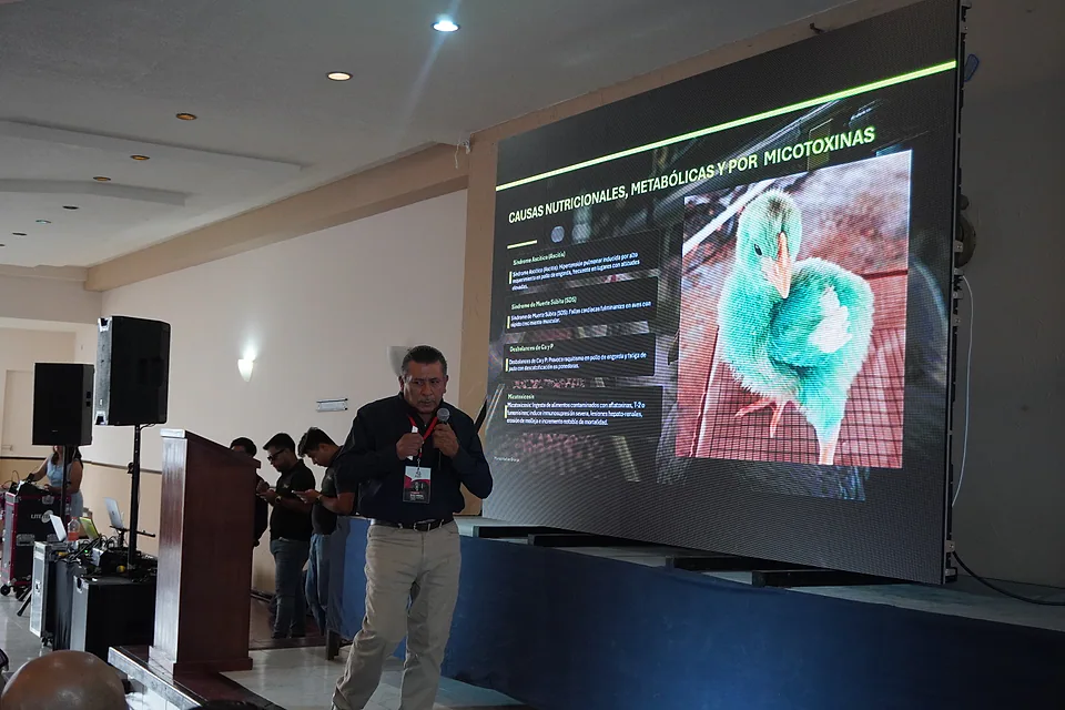 Especialista explica causas de mortalidad avícola junto a una pantalla.